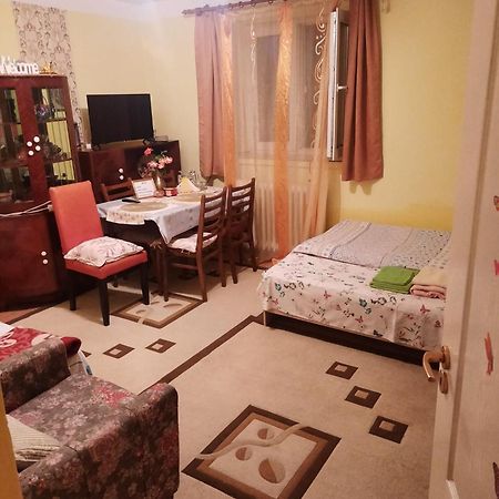 Apartament Cu Doua Camere Si Gradina Cluj-Napoca Exterior photo