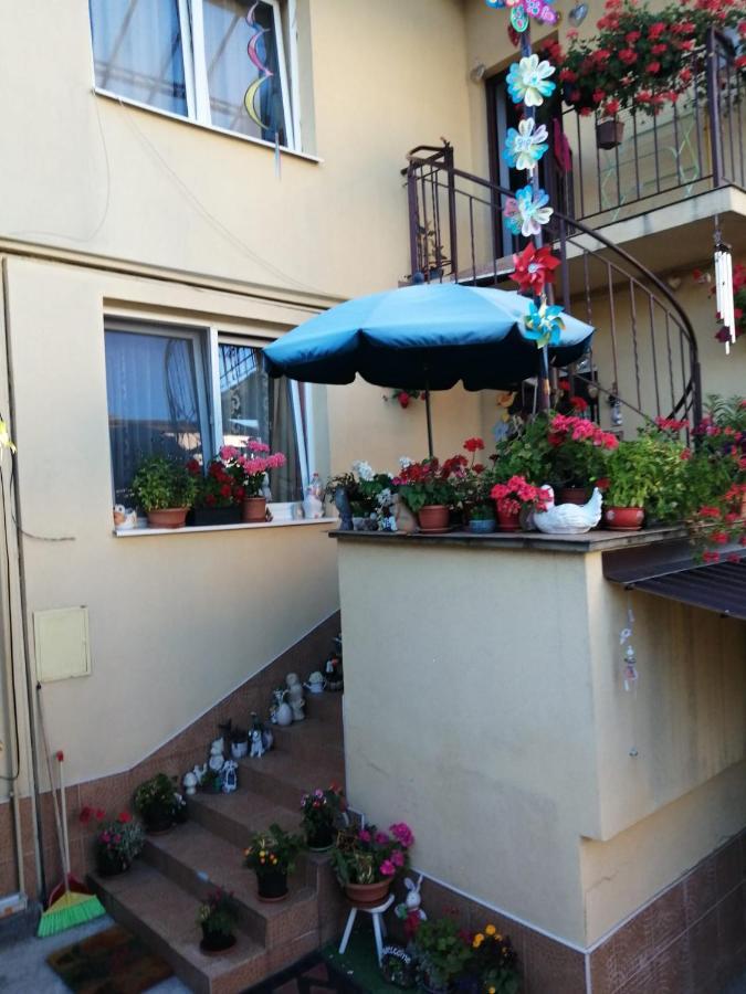 Apartament Cu Doua Camere Si Gradina Cluj-Napoca Exterior photo