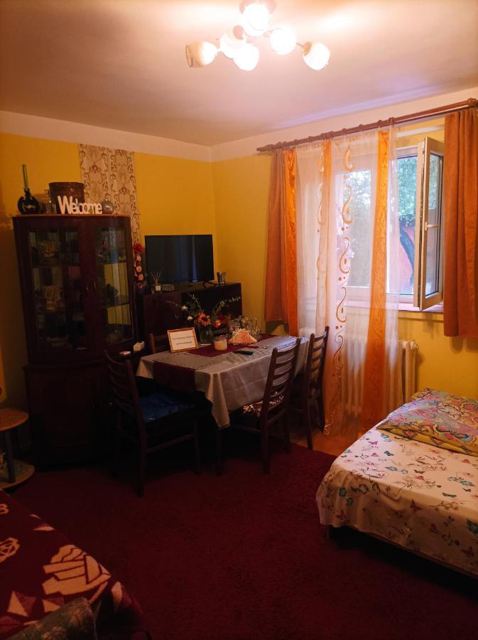 Apartament Cu Doua Camere Si Gradina Cluj-Napoca Exterior photo